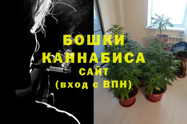 амф Аркадак