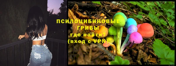 амф Аркадак