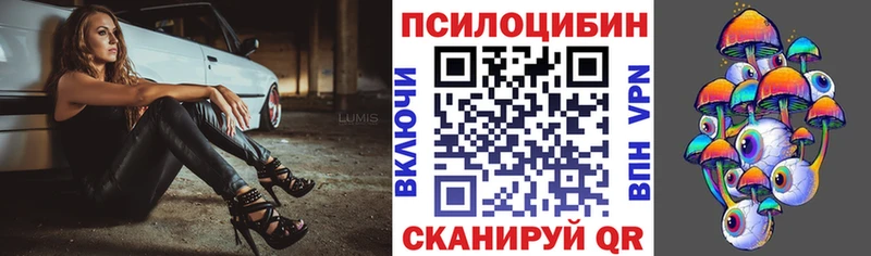 Галлюциногенные грибы Psilocybine cubensis  Дмитров 